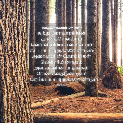 Picture 04 - யாத்திராகமம் 27:17 TAMIRV - சுற்று - Bible Verse Picture