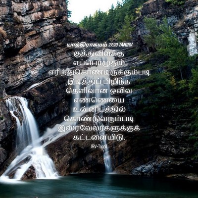 Picture 04 - யாத்திராகமம் 27:20 TAMIRV - குத்துவிளக்கு - Bible Verse Picture