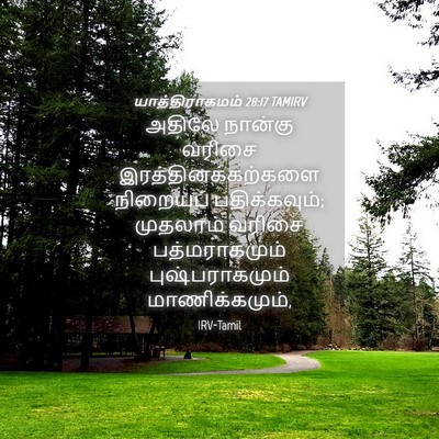 Picture 04 - யாத்திராகமம் 28:17 TAMIRV - அதிலே நான்கு - Bible Verse Picture