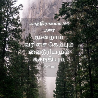 Picture 04 - யாத்திராகமம் 28:19 TAMIRV - மூன்றாம் வரிசை - Bible Verse Picture