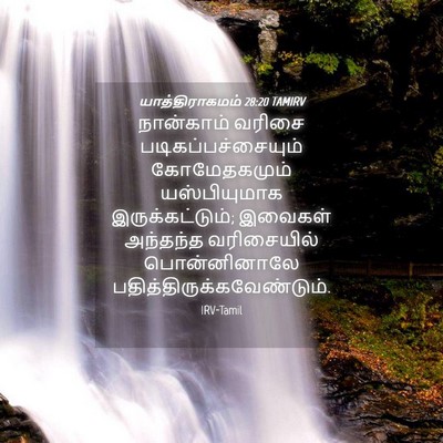 Picture 04 - யாத்திராகமம் 28:20 TAMIRV - நான்காம் வரிசை - Bible Verse Picture