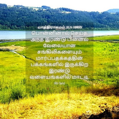 Picture 04 - யாத்திராகமம் 28:24 TAMIRV - பொன்னினால் செய்த - Bible Verse Picture