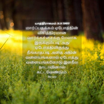 Picture 04 - யாத்திராகமம் 28:28 TAMIRV - மார்ப்பதக்கம் - Bible Verse Picture