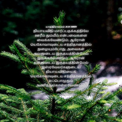 Picture 04 - யாத்திராகமம் 28:30 TAMIRV - நியாயவிதி - Bible Verse Picture