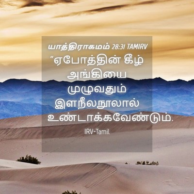 Picture 04 - யாத்திராகமம் 28:31 TAMIRV - “ஏபோத்தின் கீழ் - Bible Verse Picture