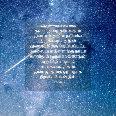 Picture 04 - யாத்திராகமம் 28:32 TAMIRV - தலை நுழைகிற அதின் - Bible Verse Picture
