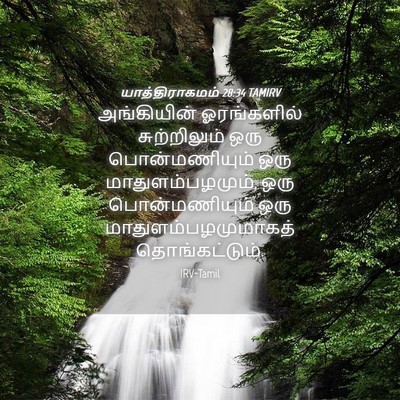 Picture 04 - யாத்திராகமம் 28:34 TAMIRV - அங்கியின் - Bible Verse Picture