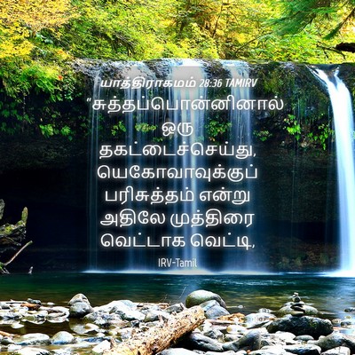 Picture 04 - யாத்திராகமம் 28:36 TAMIRV -  - Bible Verse Picture