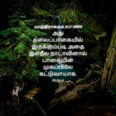 Picture 04 - யாத்திராகமம் 28:37 TAMIRV - அது தலைப்பாகையில் - Bible Verse Picture