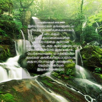 Picture 04 - யாத்திராகமம் 28:38 TAMIRV - இஸ்ரவேலர்கள் - Bible Verse Picture