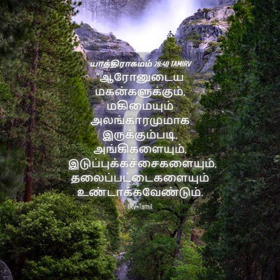 Picture 04 - யாத்திராகமம் 28:40 TAMIRV - “ஆரோனுடைய - Bible Verse Picture