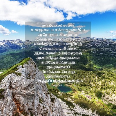 Picture 04 - யாத்திராகமம் 28:41 TAMIRV - உன்னுடைய - Bible Verse Picture