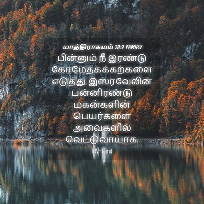 Picture 04 - யாத்திராகமம் 28:9 TAMIRV - பின்னும் நீ - Bible Verse Picture