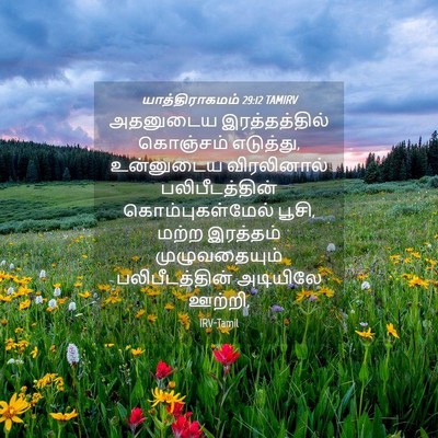 Picture 04 - யாத்திராகமம் 29:12 TAMIRV - அதனுடைய - Bible Verse Picture