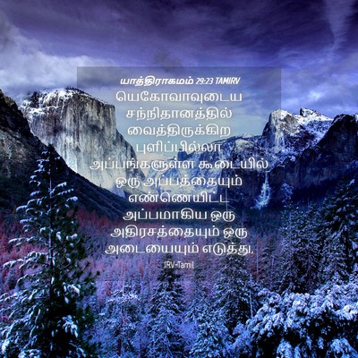 Picture 04 - யாத்திராகமம் 29:23 TAMIRV - யெகோவாவுடைய - Bible Verse Picture