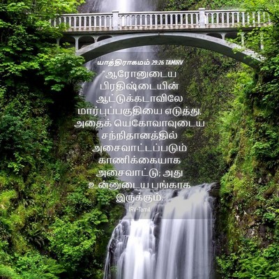 Picture 04 - யாத்திராகமம் 29:26 TAMIRV - “ஆரோனுடைய - Bible Verse Picture
