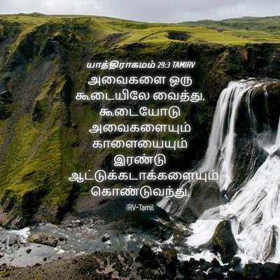 Picture 04 - யாத்திராகமம் 29:3 TAMIRV - அவைகளை ஒரு - Bible Verse Picture