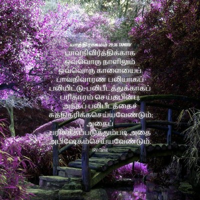 Picture 04 - யாத்திராகமம் 29:36 TAMIRV -  - Bible Verse Picture
