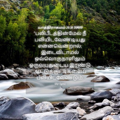Picture 04 - யாத்திராகமம் 29:38 TAMIRV -  - Bible Verse Picture