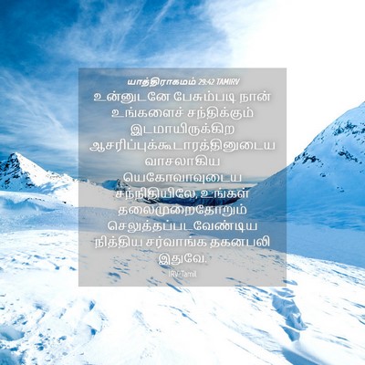 Picture 04 - யாத்திராகமம் 29:42 TAMIRV - உன்னுடனே - Bible Verse Picture