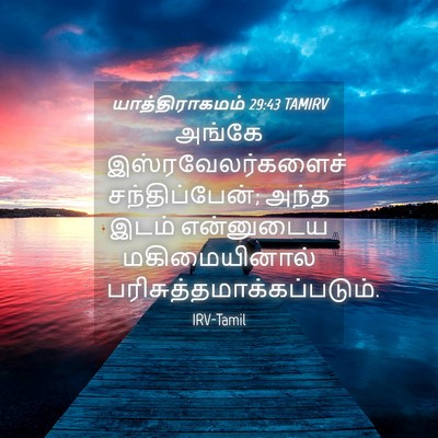 Picture 04 - யாத்திராகமம் 29:43 TAMIRV - அங்கே - Bible Verse Picture