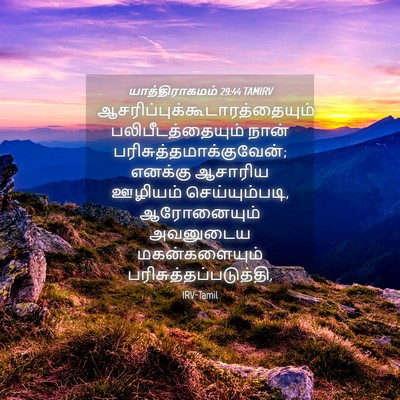 Picture 04 - யாத்திராகமம் 29:44 TAMIRV -  - Bible Verse Picture