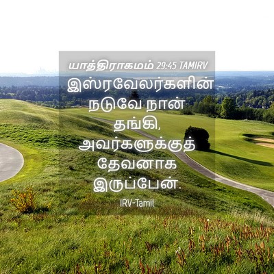Picture 04 - யாத்திராகமம் 29:45 TAMIRV - இஸ்ரவேலர்களின் - Bible Verse Picture