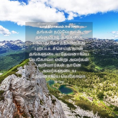 Picture 04 - யாத்திராகமம் 29:46 TAMIRV - தங்கள் நடுவே நான் - Bible Verse Picture