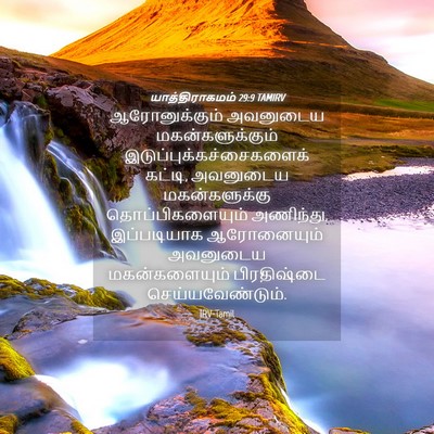 Picture 04 - யாத்திராகமம் 29:9 TAMIRV - ஆரோனுக்கும் - Bible Verse Picture