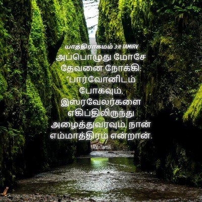 Picture 04 - யாத்திராகமம் 3:11 TAMIRV - அப்பொழுது மோசே - Bible Verse Picture