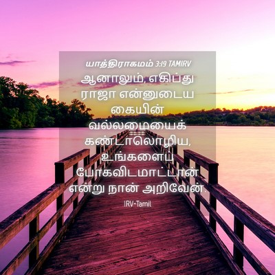 Picture 04 - யாத்திராகமம் 3:19 TAMIRV - ஆனாலும், எகிப்து - Bible Verse Picture