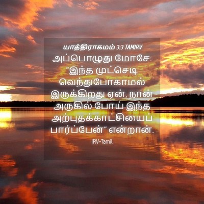 Picture 04 - யாத்திராகமம் 3:3 TAMIRV - அப்பொழுது மோசே: - Bible Verse Picture