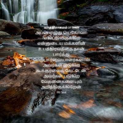 Picture 04 - யாத்திராகமம் 3:7 TAMIRV - அப்பொழுது யெகோவா: - Bible Verse Picture