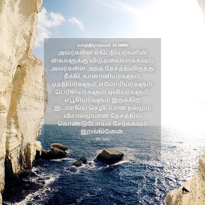 Picture 04 - யாத்திராகமம் 3:8 TAMIRV - அவர்களை - Bible Verse Picture