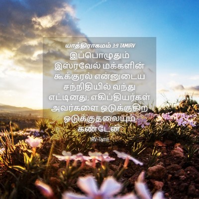 Picture 04 - யாத்திராகமம் 3:9 TAMIRV - இப்பொழுதும் - Bible Verse Picture