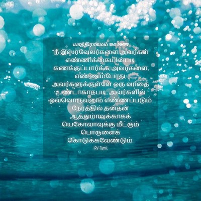 Picture 04 - யாத்திராகமம் 30:12 TAMIRV - “நீ இஸ்ரவேலர்களை - Bible Verse Picture