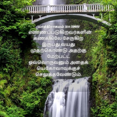 Picture 04 - யாத்திராகமம் 30:14 TAMIRV -  - Bible Verse Picture