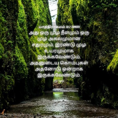 Picture 04 - யாத்திராகமம் 30:2 TAMIRV - அது ஒரு முழ - Bible Verse Picture