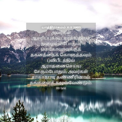 Picture 04 - யாத்திராகமம் 30:20 TAMIRV - அவர்கள் - Bible Verse Picture
