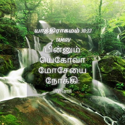 Picture 04 - யாத்திராகமம் 30:22 TAMIRV - பின்னும் யெகோவா - Bible Verse Picture
