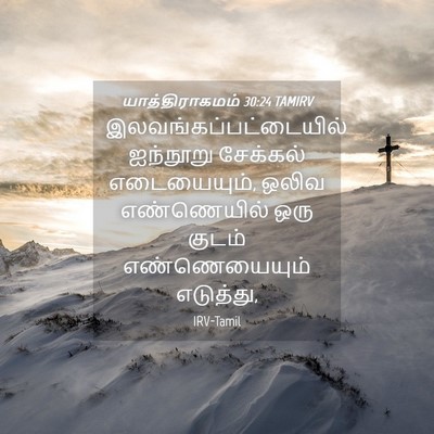 Picture 04 - யாத்திராகமம் 30:24 TAMIRV -  - Bible Verse Picture