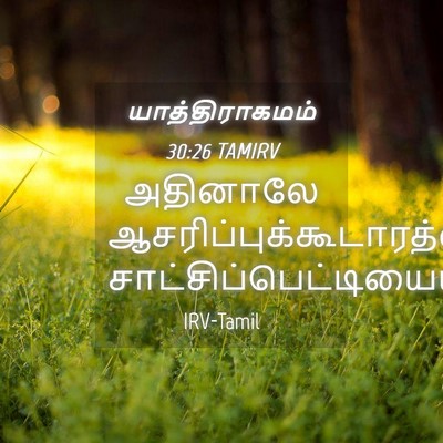 Picture 04 - யாத்திராகமம் 30:26 TAMIRV - அதினாலே - Bible Verse Picture