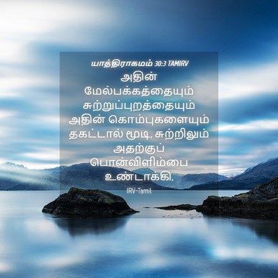 Picture 04 - யாத்திராகமம் 30:3 TAMIRV - அதின் - Bible Verse Picture
