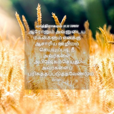 Picture 04 - யாத்திராகமம் 30:30 TAMIRV - ஆரோனும் அவனுடைய - Bible Verse Picture