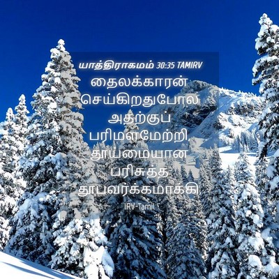 Picture 04 - யாத்திராகமம் 30:35 TAMIRV - தைலக்காரன் - Bible Verse Picture