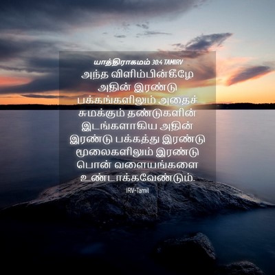 Picture 04 - யாத்திராகமம் 30:4 TAMIRV - அந்த - Bible Verse Picture