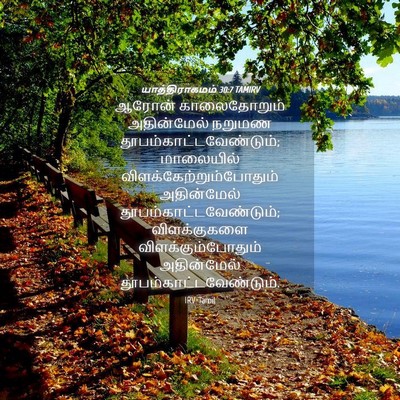 Picture 04 - யாத்திராகமம் 30:7 TAMIRV - ஆரோன் காலைதோறும் - Bible Verse Picture