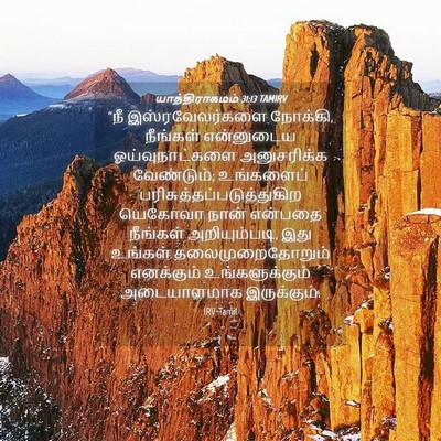 Picture 04 - யாத்திராகமம் 31:13 TAMIRV - “நீ இஸ்ரவேலர்களை - Bible Verse Picture