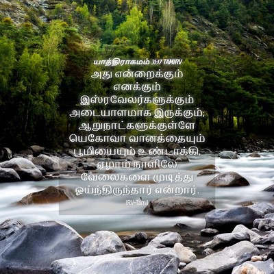 Picture 04 - யாத்திராகமம் 31:17 TAMIRV - அது என்றைக்கும் - Bible Verse Picture