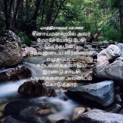 Picture 04 - யாத்திராகமம் 31:18 TAMIRV - சீனாய்மலையில் - Bible Verse Picture